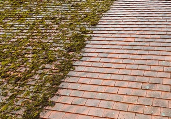 Moss Removal Tips for Different Types of Roofing Materials
