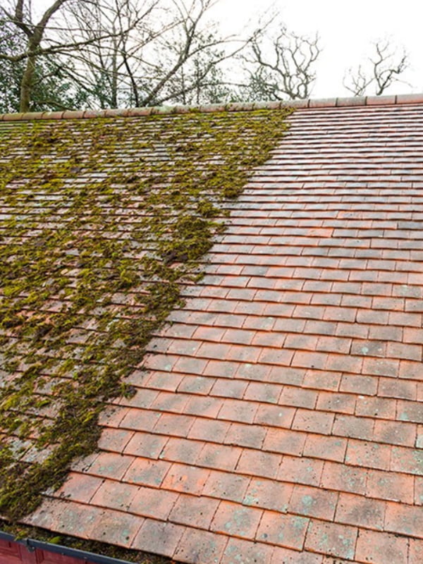 Moss Removal Tips for Different Types of Roofing Materials